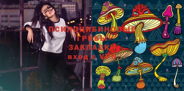 соль ск Арсеньев