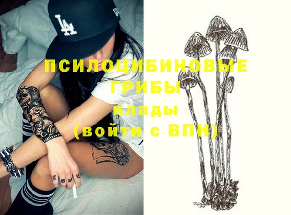 ГАЛЛЮЦИНОГЕННЫЕ ГРИБЫ Аркадак
