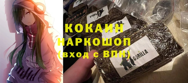 тгк Няндома