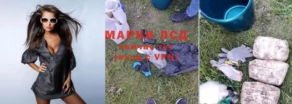 ГАЛЛЮЦИНОГЕННЫЕ ГРИБЫ Аркадак