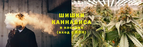 соль ск Арсеньев
