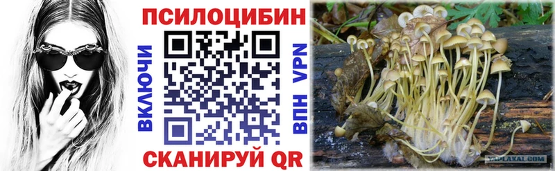 Псилоцибиновые грибы MAGIC MUSHROOMS hydra как войти Сельцо